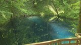 『青池』日なたは「コバルトブルー」に日陰は「群青色」に “神秘の池”自然が作り出した景色に感動|TBS NEWS DIG