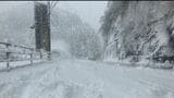 積雪で復旧のメドたたない所も 高知県内の約2900戸で停電(23日午後10時現在) | 高知のニュース・天気|KUTV NEWS | KUTVテレビ高知