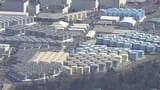 処理水放出から1か月 水産物価格に「大きな変動なし」 28日にも2回目放出の日程判断へ | 福島のニュース│TUF