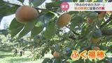 「作るのやめたほうが…」柿にサトイモ 秋の味覚に猛暑の爪痕 農家の嘆き 富山|TBS NEWS DIG