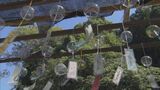 住宅や商店の軒先に7000個を超える風鈴 音色で“涼”を…「夢かけ風鈴」 愛知・豊田市 | 名古屋・愛知・岐阜・三重のニュース【CBC news】 | CBC web