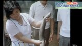 かば焼き20人分の巨大ウナギが登場 1973年の土用の丑【ホレホレアーカイブ】 | IBC NEWS | IBC岩手放送