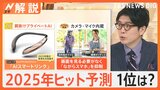 “シンカトリ”“スイカゲーム”…今年のヒット商品ベスト30発表、“肩掛けプライベートAI”“ライトアニメ”など来年のヒット予測も【Nスタ解説】|TBS NEWS DIG