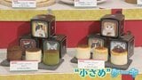 ケーキが“小型化”！？ 物価高のクリスマス　素材の“パーツ売り”で価格を抑える提案も…|TBS NEWS DIG