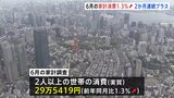 6月の家計消費+1.3%　2か月連続でプラス|TBS NEWS DIG