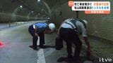 正面衝突事故が後を絶たない高速の対面区間 死亡事故の現場を点検【愛媛・宇和島市】|TBS NEWS DIG