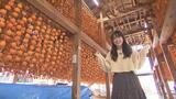 甘くてとろっとした食感「あんぽ柿」作り最盛期 今年もオレンジ色のカーテンに | 福島のニュース│TUF