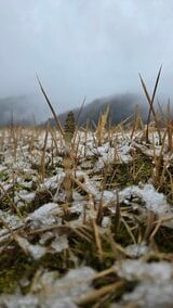 警報級の雪のおそれ 山口県の山間部 すでに雪景色|TBS NEWS DIG