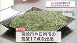 宮崎県産の新茶　今年初の入札会　過去10年の最高値を更新|TBS NEWS DIG
