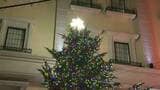 巨大クリスマスツリーが岡山市中心部にお目見え 高さ12メートル、幅8メートルのツリーに1万5千個のLED電球【岡山】|TBS NEWS DIG