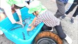 「触れ合う姿は非常にうれしい」ウナギのつかみ取りに園児が挑戦　地元の食文化を身近にー静岡・浜松市|TBS NEWS DIG