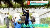 持続可能な「コミュニティ」237人の集落で根付いた“支え合い”が『社会』を少しずつ変えていく|TBS NEWS DIG