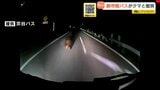 【ヒグマ事故】突然、道路左側からヒグマが…都市間バスと衝突 乗客乗員15人にけがなし 事故後、ヒグマは森へ逃げる 北海道豊富町 | 北海道のニュース|HBC北海道放送