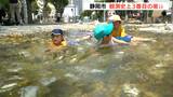 静岡市全国で一番暑い日に=静岡・静岡市 | 静岡のニュース | SBSNEWS | 静岡放送