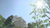 最高気温は甲府37度予想 5日ぶり猛暑日か 熱中症に警戒 | 山梨のニュース | UTYテレビ山梨