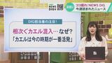 相次ぐ“カエル混入”なぜ?調べるとアマガエルに毒?「触ったら手を洗おう」身近な生き物にご注意|TBS NEWS DIG
