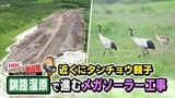 釧路湿原で進む太陽光発電工事 タンチョウの生態に影響は?現場は民有地で規制の対象外…自然保護か再生可能エネルギーか価値観の対立の行方 | 北海道のニュース|HBC北海道放送