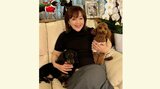 【岩崎宏美】愛犬2頭が “並んでお昼寝” 愛らしさに悶絶 トランクに”入る・入らない”行動の差にも興味|TBS NEWS DIG