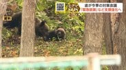 前年比5倍のヒグマ対策関連費6億円、ガバメントハンター3人採用「緊急銃猟」など支援強化へ…北海道が関係機関と連携強化を確認【ヒグマSOS】　|　北海道のニュース｜HBC北海道放送