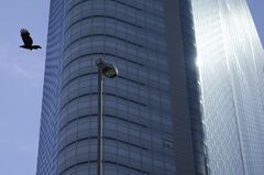 電通グループ、従業員約3400人を削減へ－海外事業の不振で| TBS CROSS DIG with Bloomberg