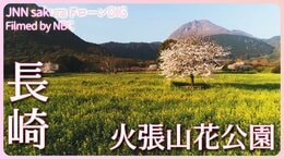 春色の景色へ 長崎県・島原市 火張山花公園【JNN sakuraドローンDIG 2023】|TBS NEWS DIG