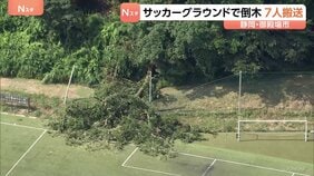 サッカー少年団の試合中にグラウンドで倒木「木がバウンドするくらいの衝撃」 未就学の女児2人を含む7人搬送も全員命に別状なし 静岡・御殿場市|TBS NEWS DIG