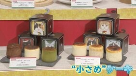 ケーキが“小型化”!? 物価高のクリスマス 素材の“パーツ売り”で価格を抑える提案も…|TBS NEWS DIG