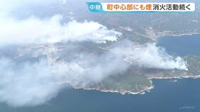 岩手・大槌町内2か所で発生の山林火災　東の風で街中心部も煙に覆われる　収束の見通し立たず|TBS NEWS DIG