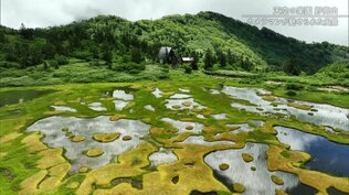 伝説のスキーヤーが守った山小屋と“クレープ朝食” 幻想的な風景に出会える日本百名山『妙高山』の夏 | 新潟のニュース・天気|BSN NEWS|BSN新潟放送