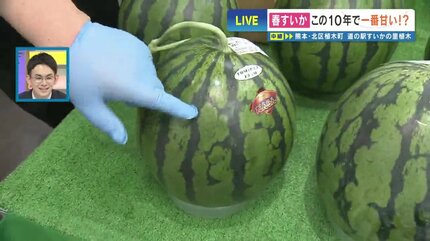 熊本のスイカは今が甘い！ そして「〇〇が凸凹」を選ぶべし スイカの名