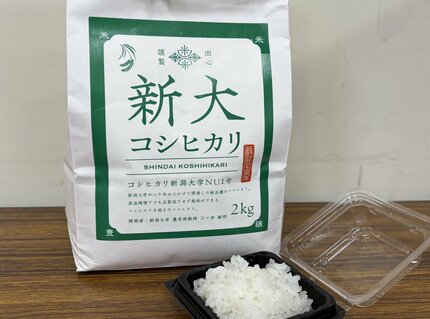 暑さ”に強い【新大コシヒカリ】新潟県外で初の栽培へ 福島県天栄村で特
