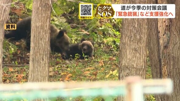 前年比5倍のヒグマ対策関連費6億円、ガバメントハンター3人採用「緊急銃猟」など支援強化へ…北海道が関係機関と連携強化を確認【ヒグマSOS】　|　北海道のニュース｜HBC北海道放送