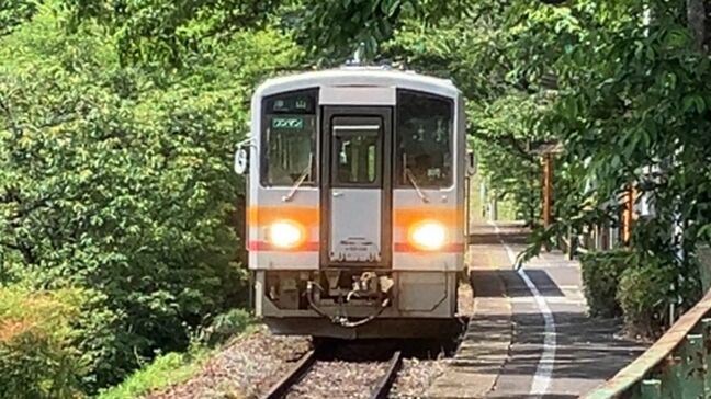 JR因美線 倒木の撤去作業のため智頭駅と東津山駅の間で運転見合わせ(20日午後0時45分現在)【岡山】|TBS NEWS DIG