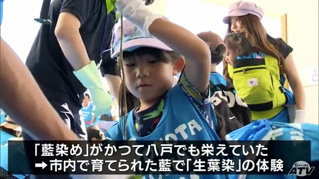 「TOYOTA SOCIAL FES!! 2024」が開催 藍を使った「生葉染」を体験 青森県八戸市|TBS NEWS DIG