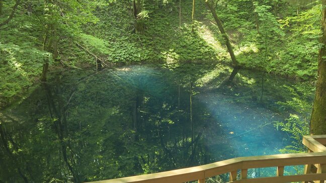 『青池』日なたは「コバルトブルー」に日陰は「群青色」に “神秘の池”自然が作り出した景色に感動|TBS NEWS DIG