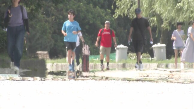 福岡県に「熱中症警戒アラート」午前11時半までの最高気温　行橋市32.5℃　太宰府市32.3℃　福岡市32.0℃|TBS NEWS DIG