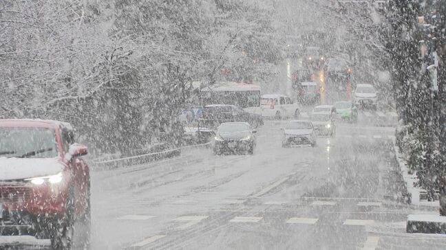 「大寒寒波」が襲来で石川県内は25日(日)ごろまで雪が降る見込み 平地でも警報級の大雪が続くおそれ|TBS NEWS DIG