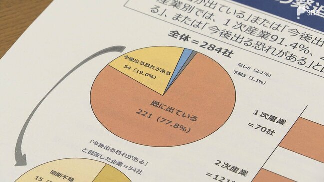 県内企業の約8割が「影響が出ている」と回答 中東情勢緊迫化の影響調査 コスト上昇や調達困難が最多=静岡|TBS NEWS DIG
