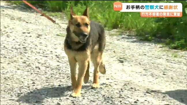 お手柄警察犬ジャーマンシェパードのご褒美は「ドッグフード」山岳遭難者発見に貢献 宮城県警鳴子警察署|TBS NEWS DIG