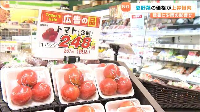 「トマトが高い…」猛暑や少雨の高騰 オクラやゴーヤ、キャベツが救世主!仙台|TBS NEWS DIG