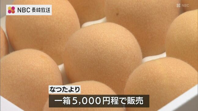 糖度が高い！長崎びわ「なつたより」出荷ピークを前に市長へ贈呈|TBS NEWS DIG