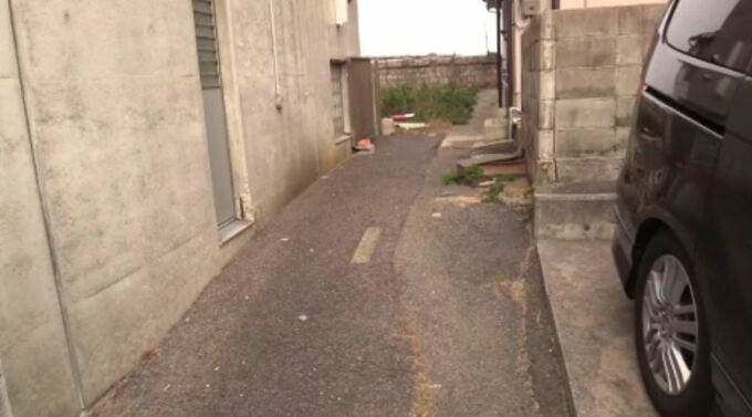 60代女性が海の近くでイノシシに襲われケガ　（愛媛・今治市）　|　愛媛のニュース - Nスタえひめ｜あいテレビは6チャンネル