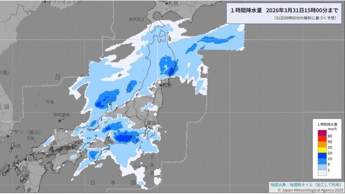 東日本はきょう午後が雨ピーク　あす1日(水)は「南岸低気圧」で再び大雨警戒　気温は20℃予想も|TBS NEWS DIG