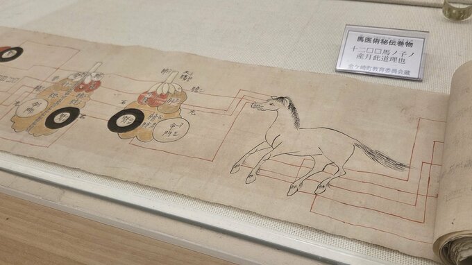 会場には珍しい馬医術の教科書や医療器具なども　江戸時代から代々、馬医・獣医として活躍した桑島家の活躍を紹介する企画展　岩手|TBS NEWS DIG
