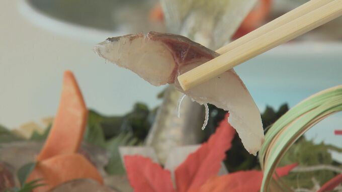 笠戸島で新たな特産品誕生！肉厚でうまみがぎゅっと“笠戸のあじ”完成披露会　山口・下松|TBS NEWS DIG