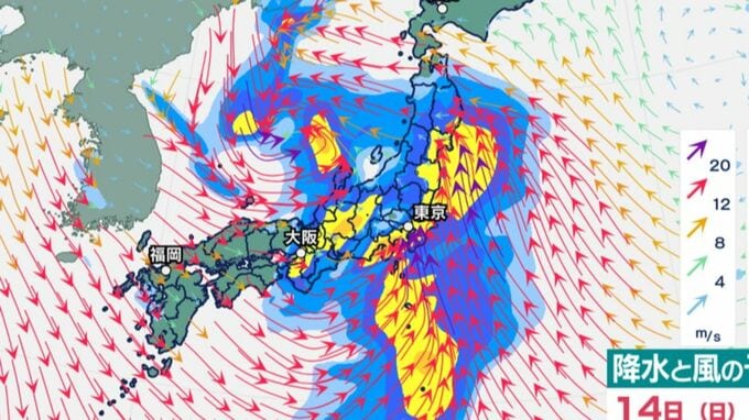 【大雨情報】日曜日は全国的に荒れた天気に　低気圧が発達し本州南岸から北へ【雨・風シミュレーション13日（土）～15日（月）】【雪シミュレーション12日（金）～15日（月）】雪と天気の情報|TBS NEWS DIG