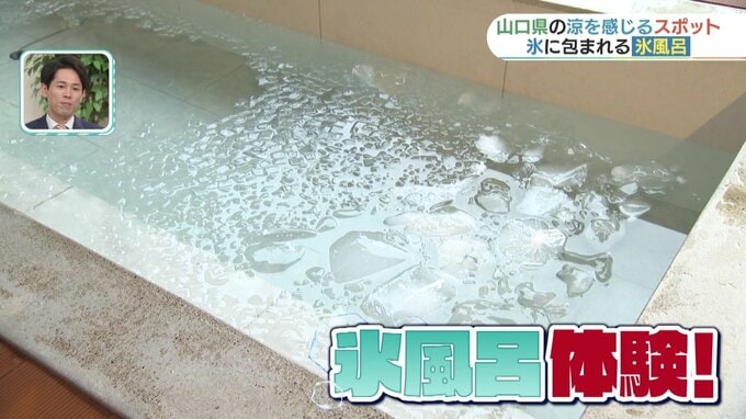 「おぉーーー！ビックリした！手がいきなり出てきたからビックリした！！」暑い暑い夏にこそ“涼を感じるスポット”を！ゾッとする冷や汗で、ひんやりグルメで、さらには全身氷に包まれて…さまざまな涼で猛暑を乗り切れ！|TBS NEWS DIG