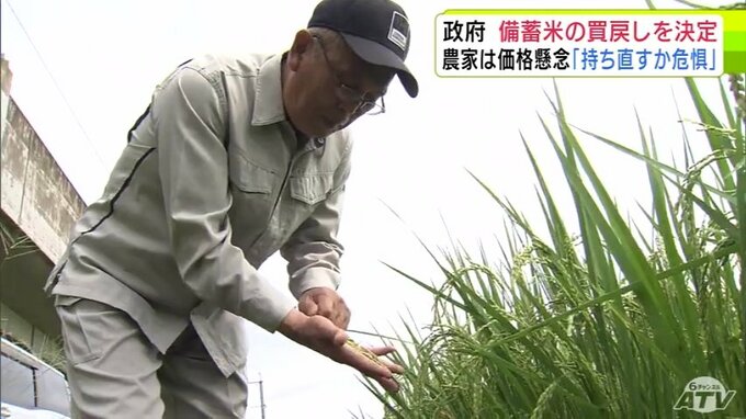 政府が備蓄米21万トンの買い戻し決定も…「もうちょっと早くやってもらえれば」農家からは価格下落の懸念は解消されないと厳しい声が…　「価格が持ち直すか危惧している…」未だに頭を悩ませる種となっている“令和のコメ騒動”|TBS NEWS DIG