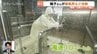 「外に出るなんてとんでもない」　予報士が風速30m体験　水深90cmではドアも開かず　大雨シーズン前に備えを　|　富山のニュース｜天気・防災｜チューリップテレビ