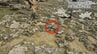 7000年前に海に落ちた？ 糸満市の大度海岸で「石斧」が見つかる　沖縄戦の戦火もくぐり抜け　|　沖縄のニュース｜RBC 琉球放送